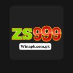 ZS999 Game Logo