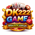 DK222 Game Logo