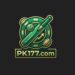 PK177 Game Logo