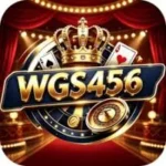 WGS456 Game Logo