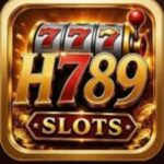 H 789 Game Logo